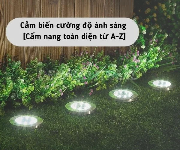 Cảm biến cường độ ánh sáng [Cẩm nang toàn diện từ A-Z]