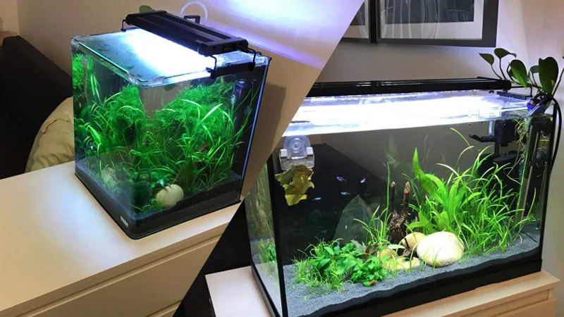 Cách gắn đèn cho bể cá mini để bàn