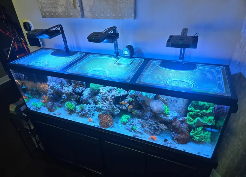 Cách lắp đèn LED gác thành bể cá