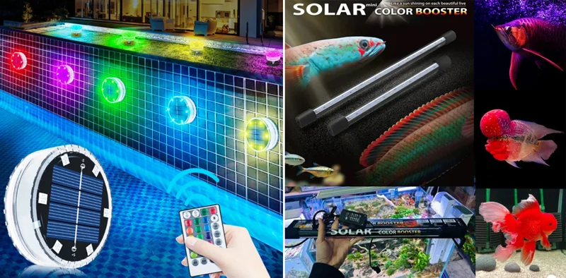 Đèn hồ cá năng lượng mặt trời