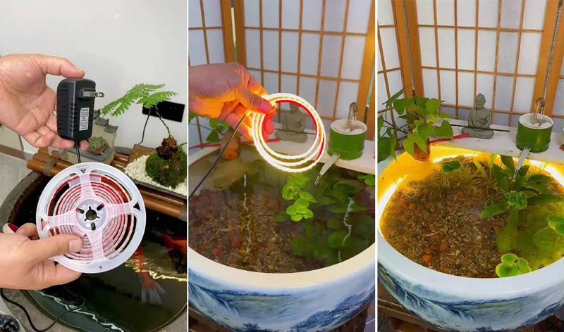 Đèn LED dây trang trí bể cá nhỏ